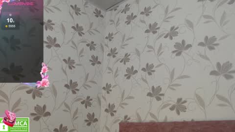 Snapshot of victoria017 chatting on January 2025 09:02:02 AM Victoria online show from January 2025 09:02:02 AM