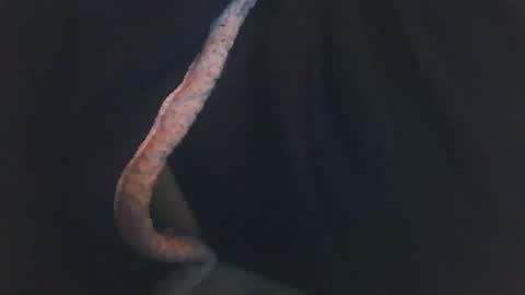 Snapshot of vicvictoree chatting on December 2025 02:06:02 AM vicvictoree online show from December 2025 02:06:02 AM