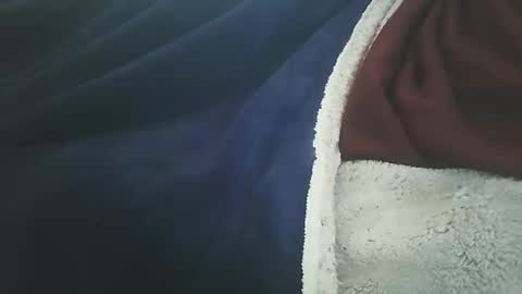 vicvictoree online show from February 2026 01:27:02 PM