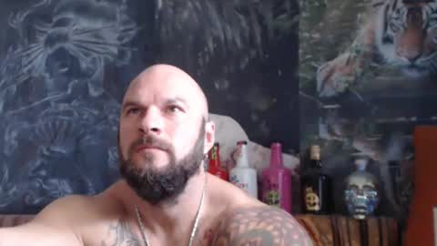 viking online show from October 2025 07:34:02 AM