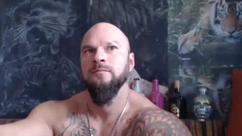 viking online show from November 2025 10:26:01 AM