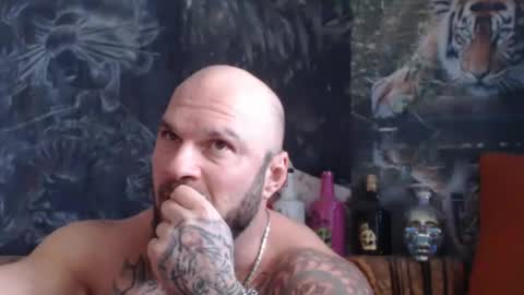 viking online show from November 2025 09:08:02 AM