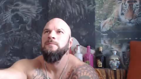 viking online show from November 2025 07:46:02 AM