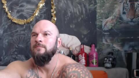 viking online show from January 2026 08:06:01 AM