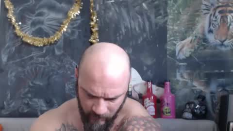 viking online show from March 2026 07:11:02 AM