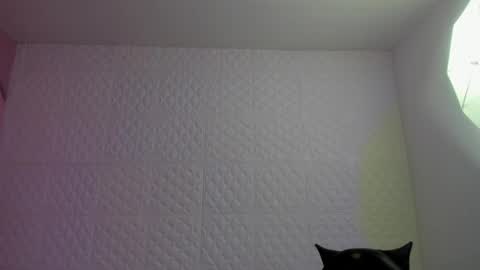Snapshot of violeta_diazz chatting on May 2026 09:22:01 PM online show from May 2026 09:22:01 PM