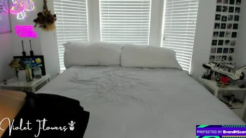 Snapshot of violetttflowers chatting on May 2026 03:52:01 PM Violet Flowers online show from May 2026 03:52:01 PM