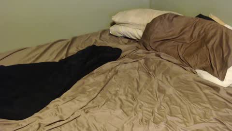 Snapshot of virgilmoss chatting on January 2025 12:02:01 AM virgilmoss online show from January 2025 12:02:01 AM