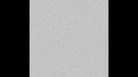 Vivian online show from October 2025 11:18:02 AM