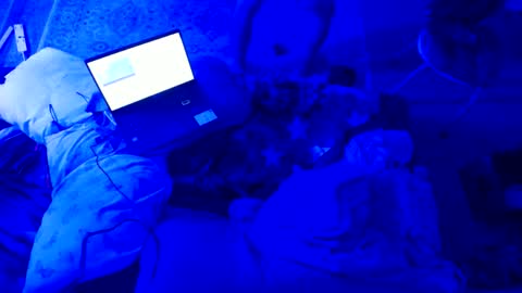 vknow online show from February 2025 10:44:02 AM