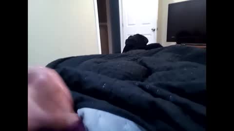 vladedivac1998 online show from September 2025 04:43:02 PM