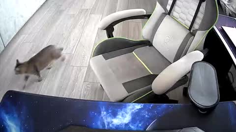 Snapshot of vonele chatting on October 2025 06:47:01 AM Vonn online show from October 2025 06:47:01 AM