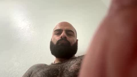 waappp online show from November 2025 07:45:02 PM