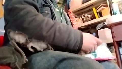 Snapshot of waffywaff77 chatting on January 2025 11:58:02 PM waffywaff77 online show from January 2025 11:58:02 PM