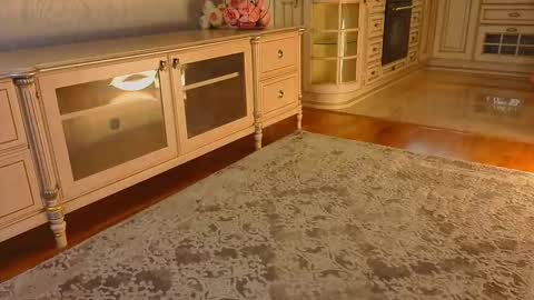 hello guys im Lilian online show from November 2025 03:06:01 AM