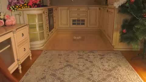 hello guys im Lilian online show from January 2026 03:12:02 AM