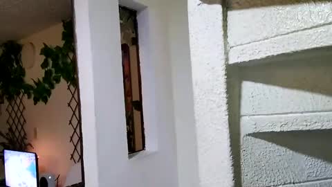 Snapshot of waningrosee chatting on January 2025 02:25:01 AM Waningrose Lu online show from January 2025 02:25:01 AM