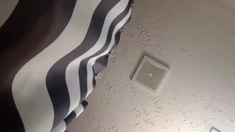 wanttowatch87 online show from December 2024 05:58:02 AM