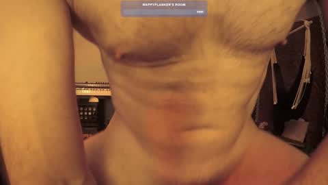 Snapshot of wappyflanker chatting on December 2024 02:54:02 PM wappyflanker online show from December 2024 02:54:02 PM