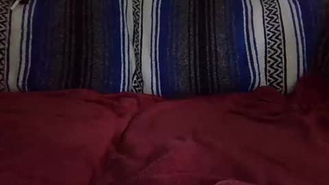 Snapshot of warishcow chatting on December 2024 12:02:01 AM Warishcow online show from December 2024 12:02:01 AM