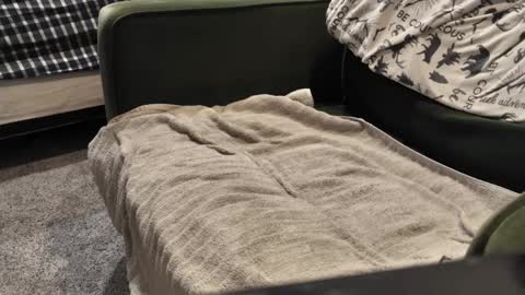 Daddy online show from January 2025 09:57:02 PM