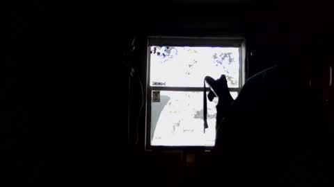 waterfire420 online show from January 2025 04:59:01 PM