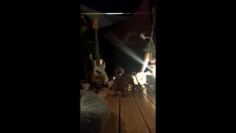 watershed111111 online show from February 2026 03:13:02 AM