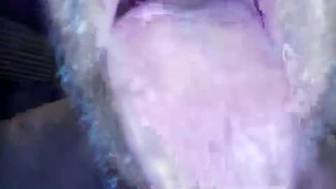 wayne1311 online show from March 2026 07:21:01 AM