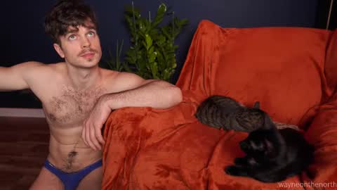 Snapshot of waynenorth chatting on November 2025 04:39:02 PM waynenorth online show from November 2025 04:39:02 PM