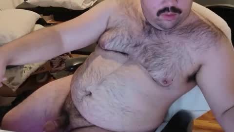 webarebuttbears online show from October 2025 05:02:02 AM