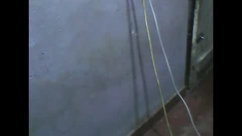 Snapshot of wela123456 chatting on November 2025 01:02:01 PM wela123456 online show from November 2025 01:02:01 PM