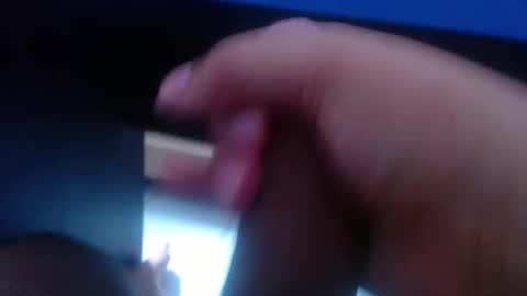 wellingtont online show from January 2026 06:24:02 PM