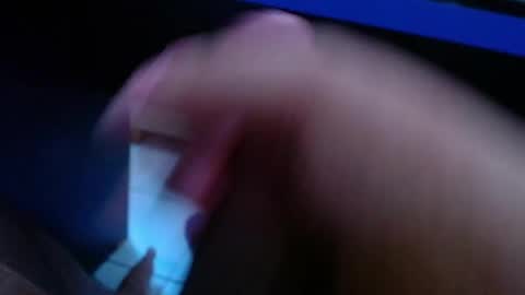 wellingtont online show from March 2026 04:24:02 AM