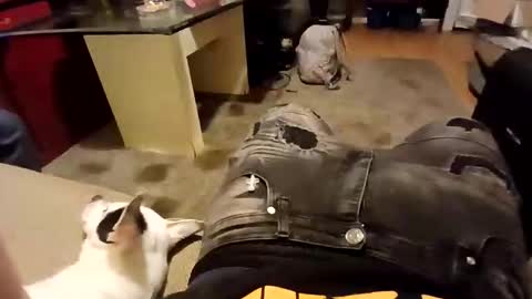 weloveeachothersrizz online show from December 2025 10:02:01 AM