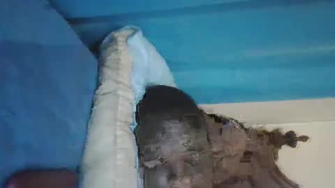 wetcock44 online show from December 2024 03:41:01 AM