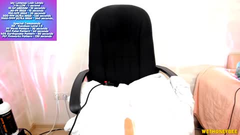 Snapshot of wethoneybee chatting on February 2025 02:03:02 AM Mina online show from February 2025 02:03:02 AM