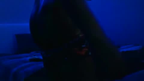 Snapshot of wetwildbigdick305 chatting on February 2025 10:36:02 AM wetwildbigdick305 online show from February 2025 10:36:02 AM