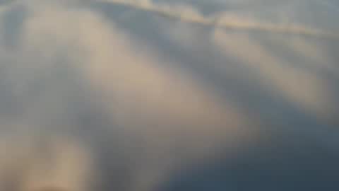 whatever_i_have_to_do online show from March 2026 05:08:01 PM