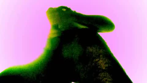 Snapshot of whatsexo chatting on February 2025 12:54:02 AM whatsexo online show from February 2025 12:54:02 AM