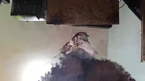 Snapshot of whatsexo chatting on September 2025 07:10:01 AM whatsexo online show from September 2025 07:10:01 AM