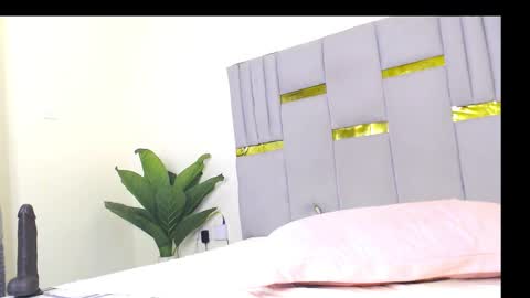 Whinebby online show from December 2025 07:39:01 AM