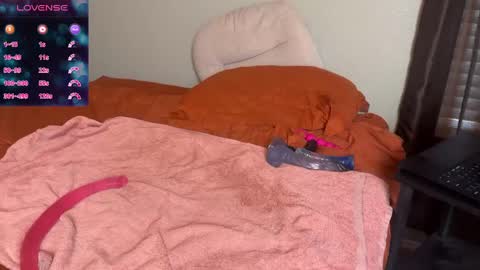 Snapshot of whiskey60 chatting on September 2025 02:27:02 PM Radek and Stella St. Rose online show from September 2025 02:27:02 PM