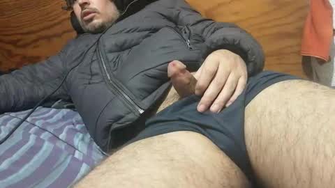 n n15 online show from October 2025 04:09:01 AM