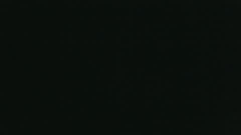 Snapshot of whitehead_lion chatting on October 2025 05:52:01 PM whitehead_lion online show from October 2025 05:52:01 PM