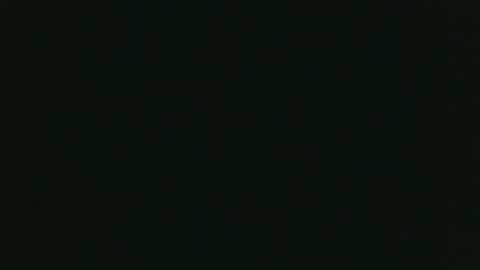 Snapshot of whitehead_lion chatting on November 2025 06:17:01 PM whitehead_lion online show from November 2025 06:17:01 PM