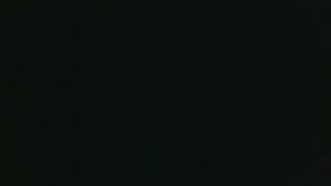 Snapshot of whitehead_lion chatting on December 2025 08:24:02 PM whitehead_lion online show from December 2025 08:24:02 PM