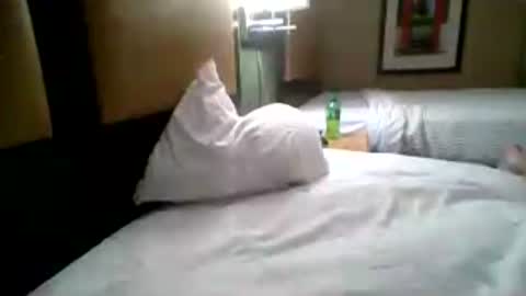 whoisblanco online show from June 2026 08:17:02 AM