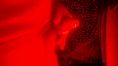 whor4mor online show from December 2024 01:39:02 PM