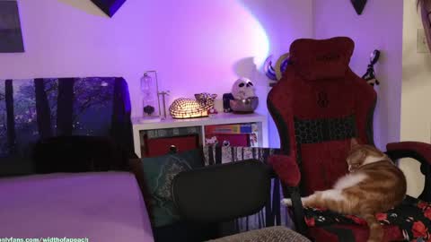 Gretchen  Jimmy online show from March 2026 04:45:02 AM