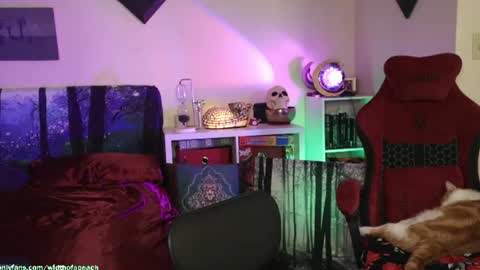 Snapshot of widthofapeach chatting on July 2026 02:47:01 AM Gretchen Jimmy online show from July 2026 02:47:01 AM